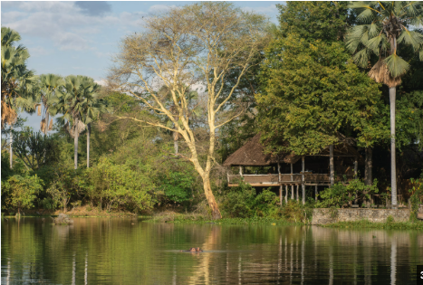 Malawi Travel Guide: Tea Estates, Liwonde Safaris & Lake Malawi